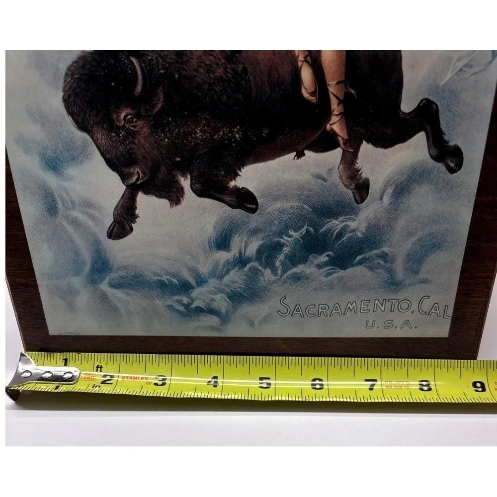 Vintage Buffalo Brewing Co Sacramento‎ CA Wooden Sign Plaque Buffalo Lady 1970s